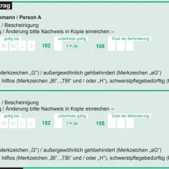 Formular zur Beantragung eines Behinderten-Pauschbetrags. Felder für den Grad der Behinderung und Angaben zur Person A und B.