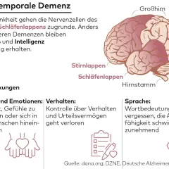 Gehirnabbildung erklärt frontotemporale Demenz, die Nervenzellen im Stirn- und Schläfenlappen schädigt, was zu Empathie-, Verhaltens- und Sprachverlust führt.